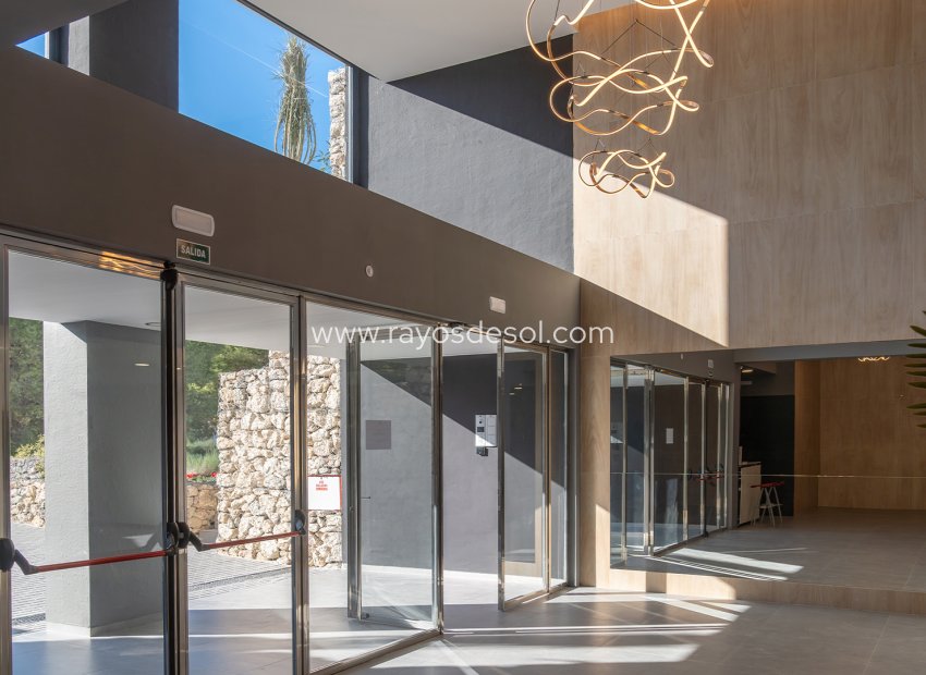 Neue Gebäude - Appartement - Benidorm - Spain