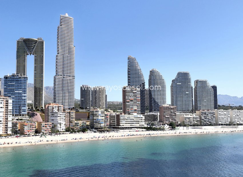 Neue Gebäude - Appartement - Benidorm - Spain