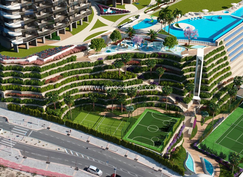 Neue Gebäude - Appartement - Benidorm - Spain