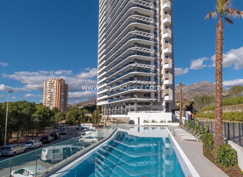 Neue Gebäude - Appartement - Benidorm - Spain