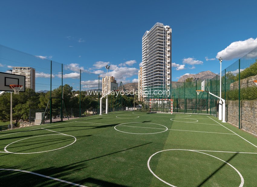 Neue Gebäude - Appartement - Benidorm - Spain