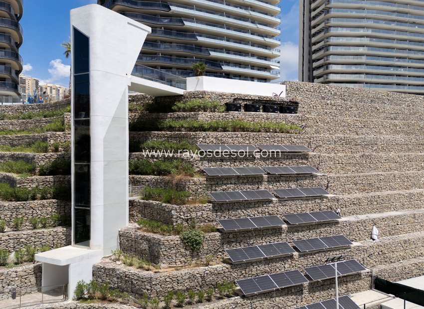Neue Gebäude - Appartement - Benidorm - Spain