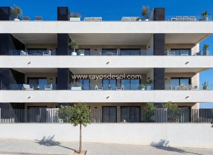 Neue Gebäude - Appartement - Benijofar - Centro