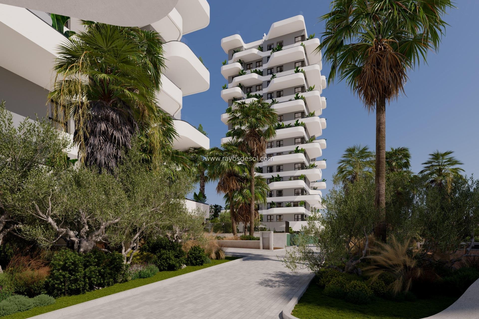 Neue Gebäude - Appartement - Calpe - El Saladar
