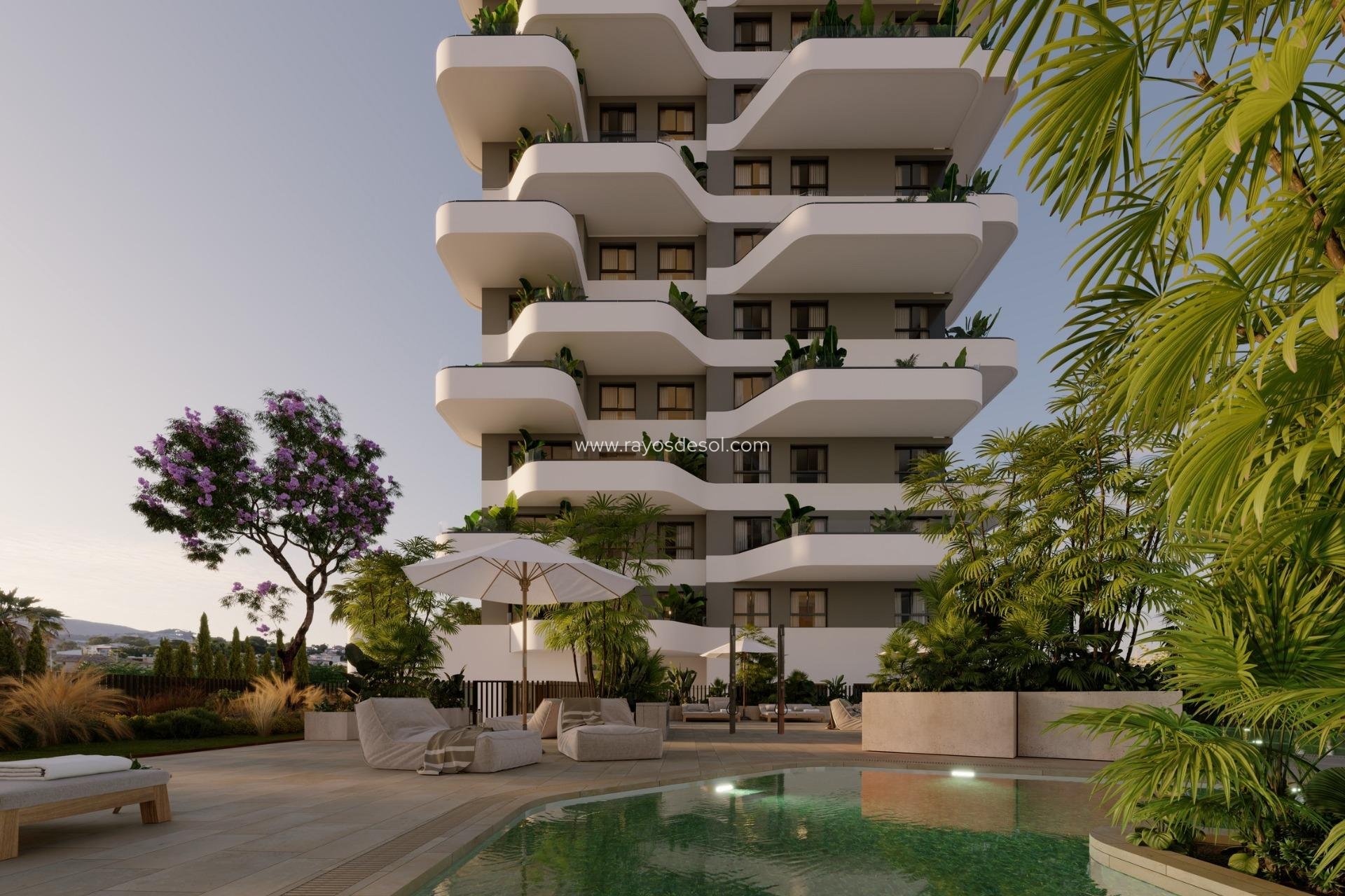Neue Gebäude - Appartement - Calpe - El Saladar