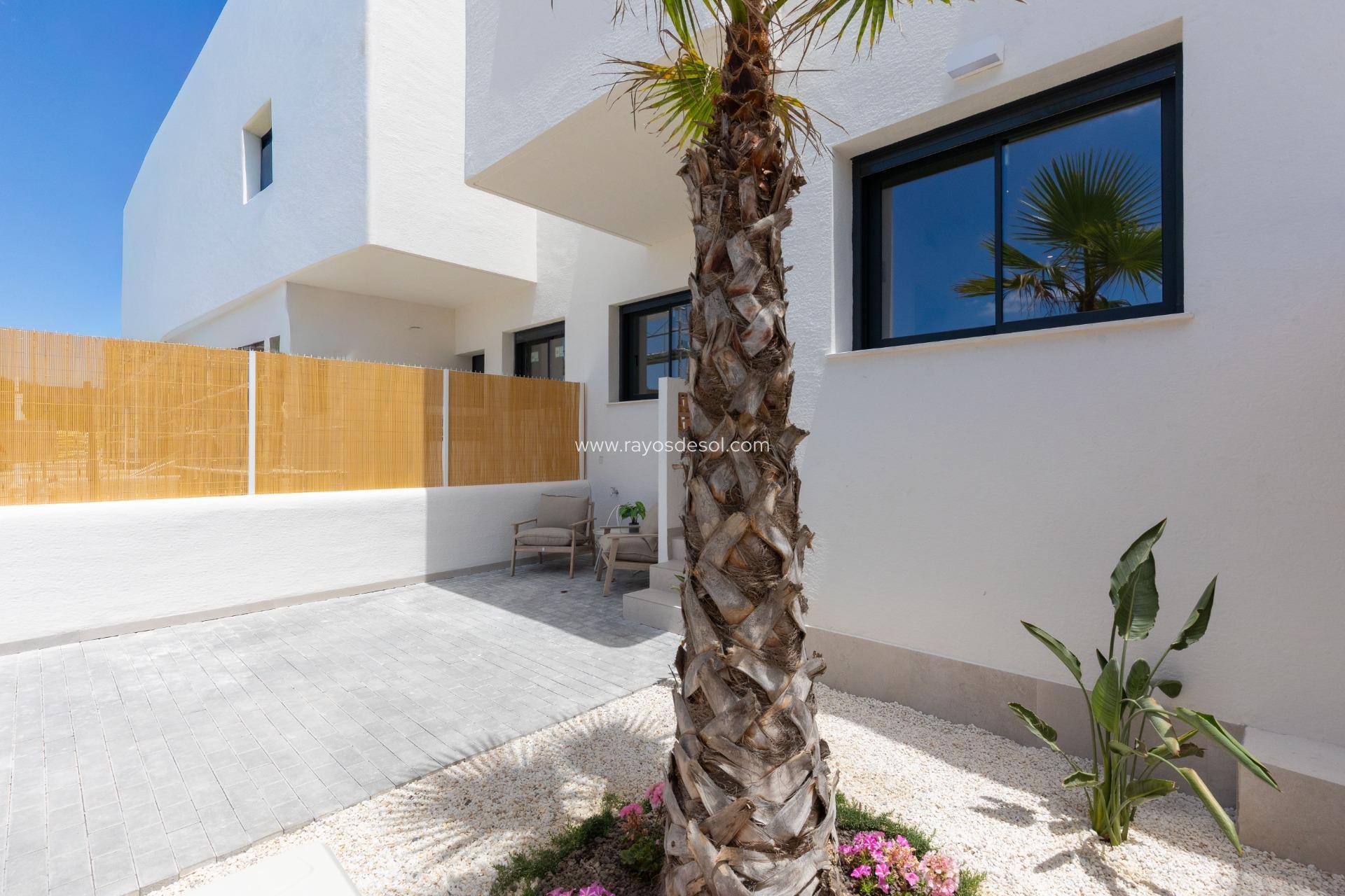 Neue Gebäude - Appartement - Dolores - ZONA NUEVA
