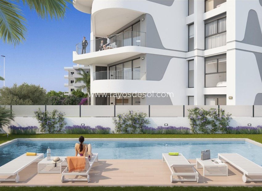 Neue Gebäude - Appartement - Guardamar del Segura - Avenida del Puerto