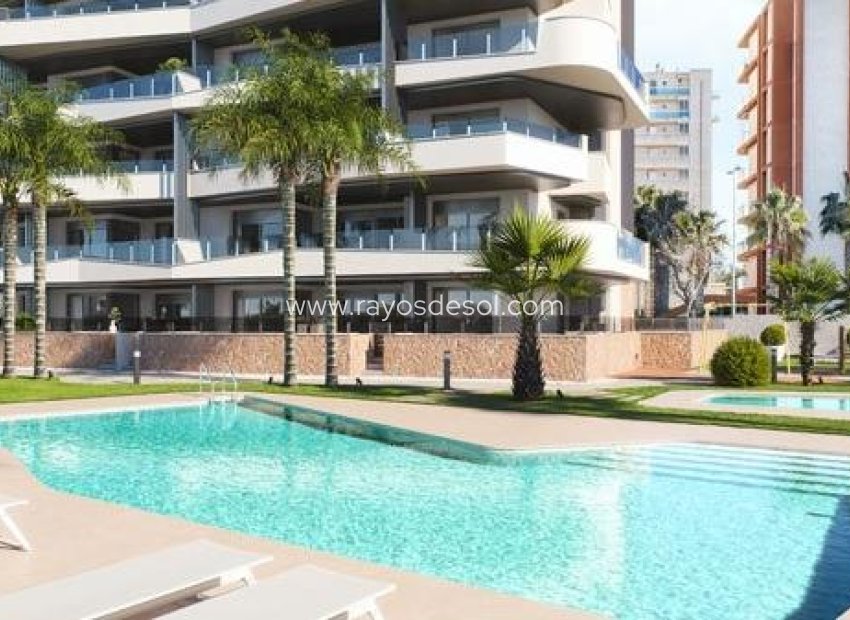 Neue Gebäude - Appartement - Guardamar del Segura - Puerto Deportivo