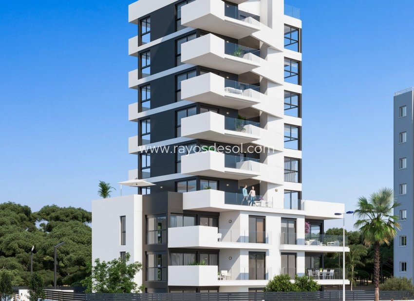 Neue Gebäude - Appartement - Guardamar del Segura - Puerto Deportivo