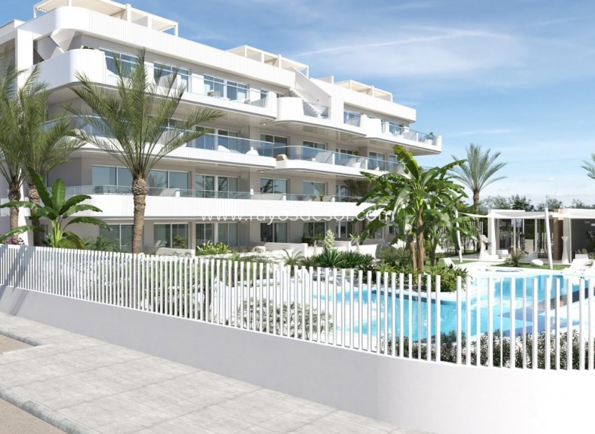 Neue Gebäude - Appartement - Orihuela Costa - Cabo roig - La Zenia