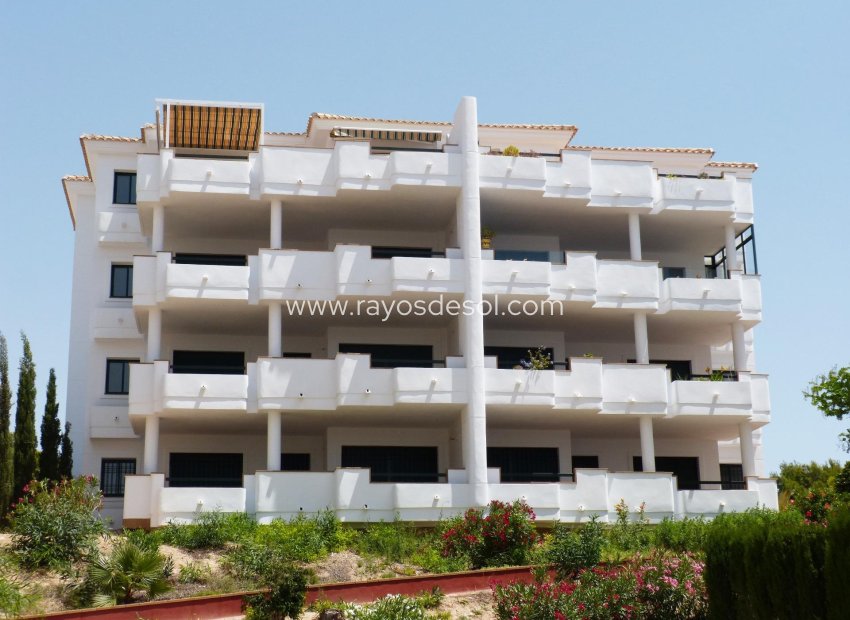 Neue Gebäude - Appartement - Orihuela Costa - Lomas De Campoamor-las Ramblas