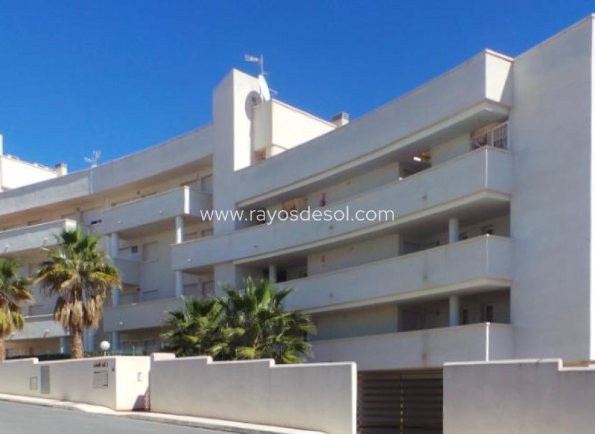 Neue Gebäude - Appartement - Orihuela Costa - Villamartín