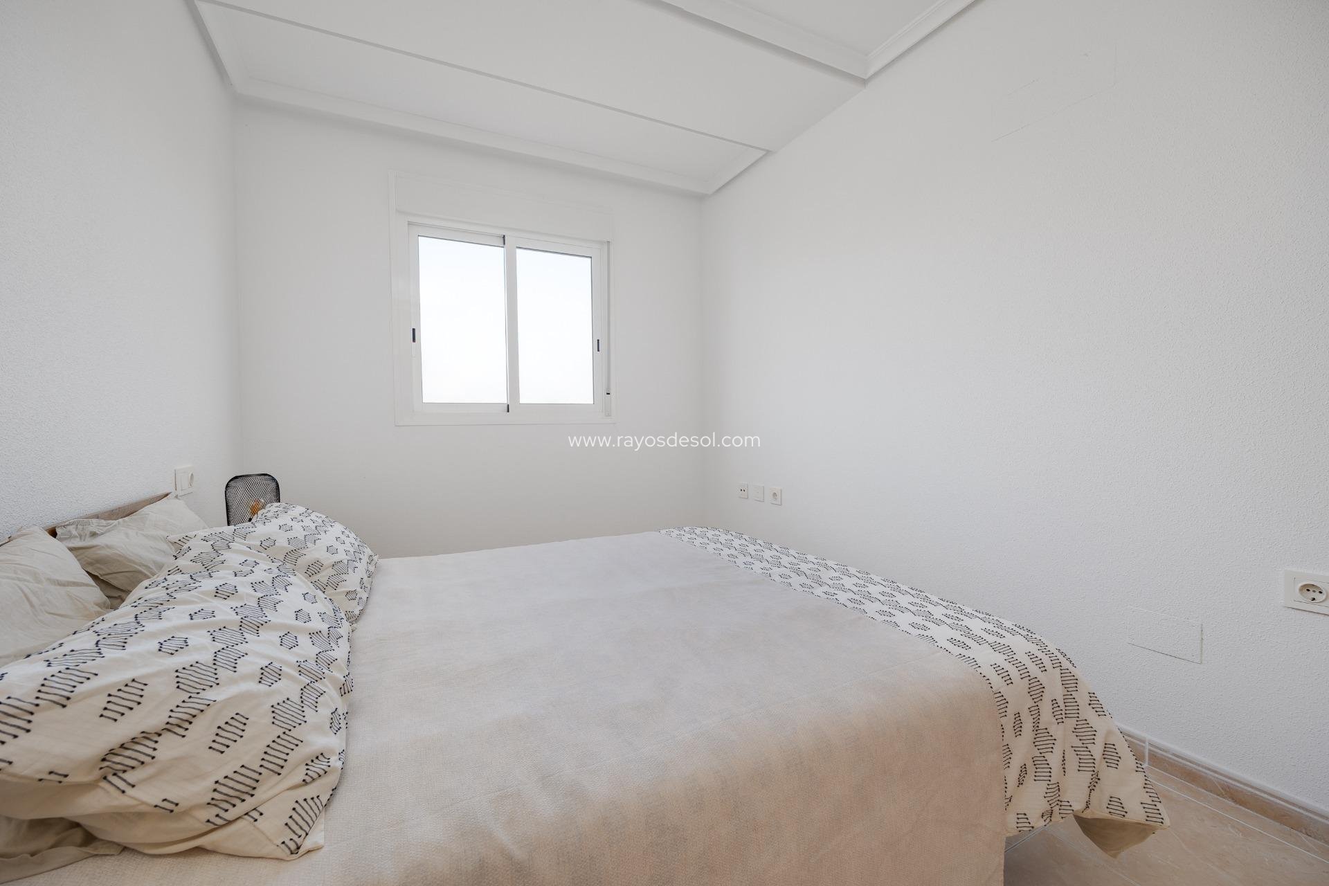 Neue Gebäude - Appartement - San Fulgencio - Pueblo