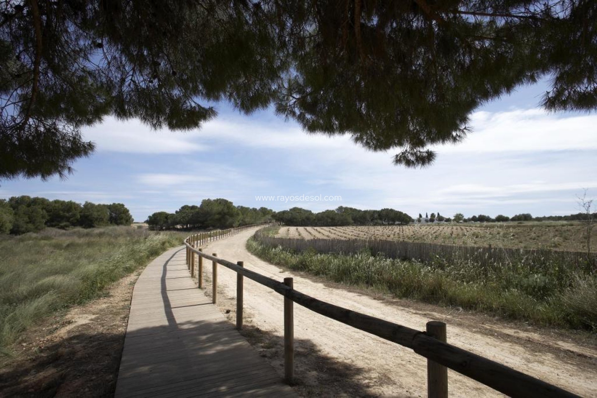 Neue Gebäude - Appartement - Torrevieja - Aguas Nuevas