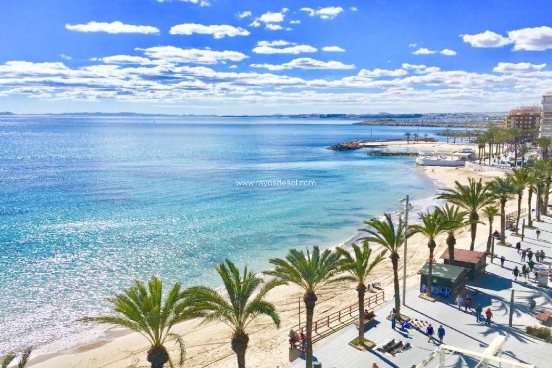 Neue Gebäude - Appartement - Torrevieja - Lago Jardin