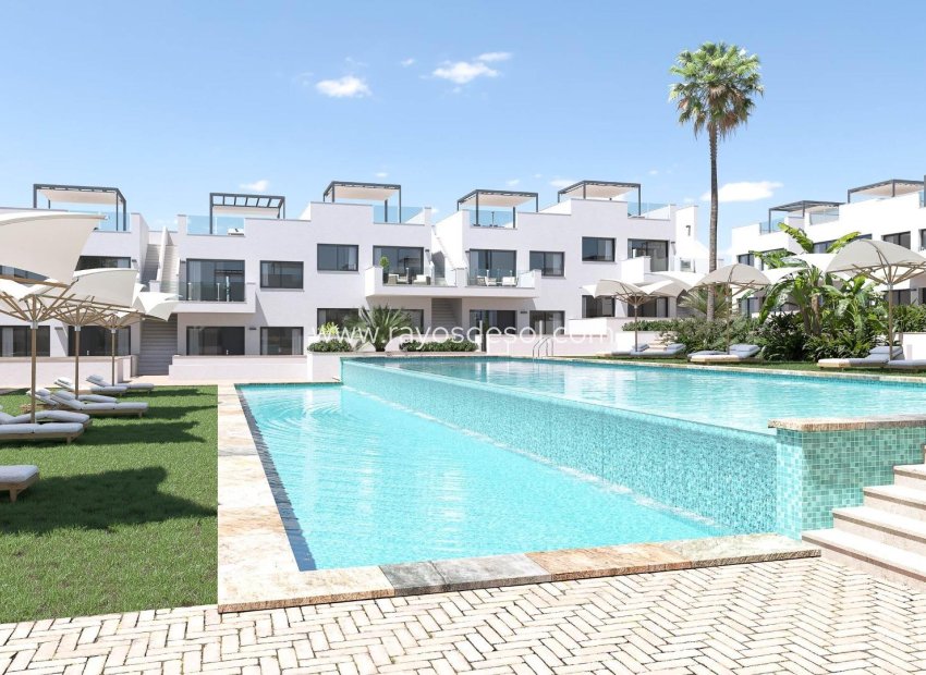 Neue Gebäude - Appartement - Torrevieja - Los Balcones