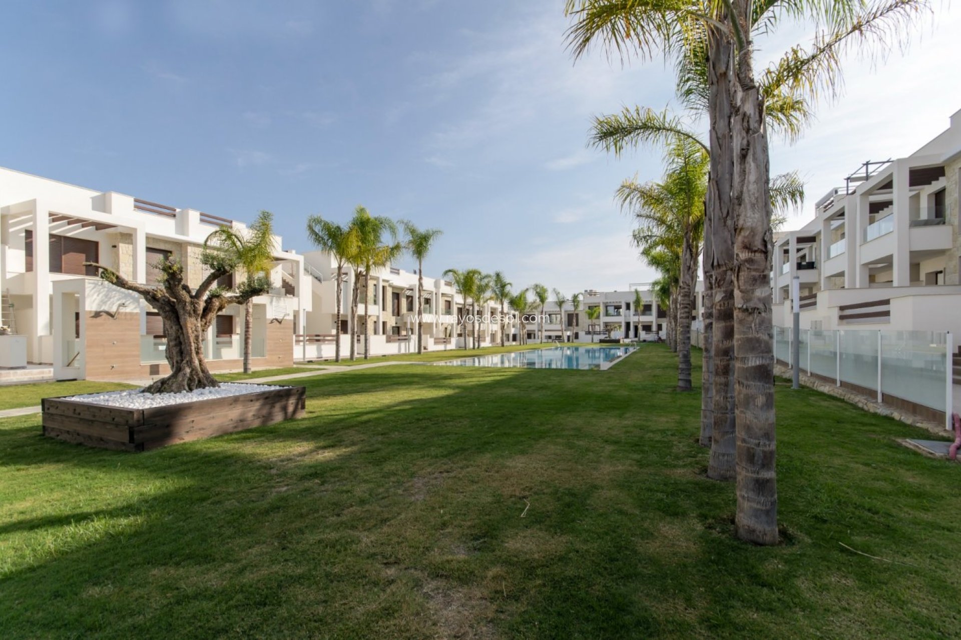 Neue Gebäude - Appartement - Torrevieja - Los Balcones