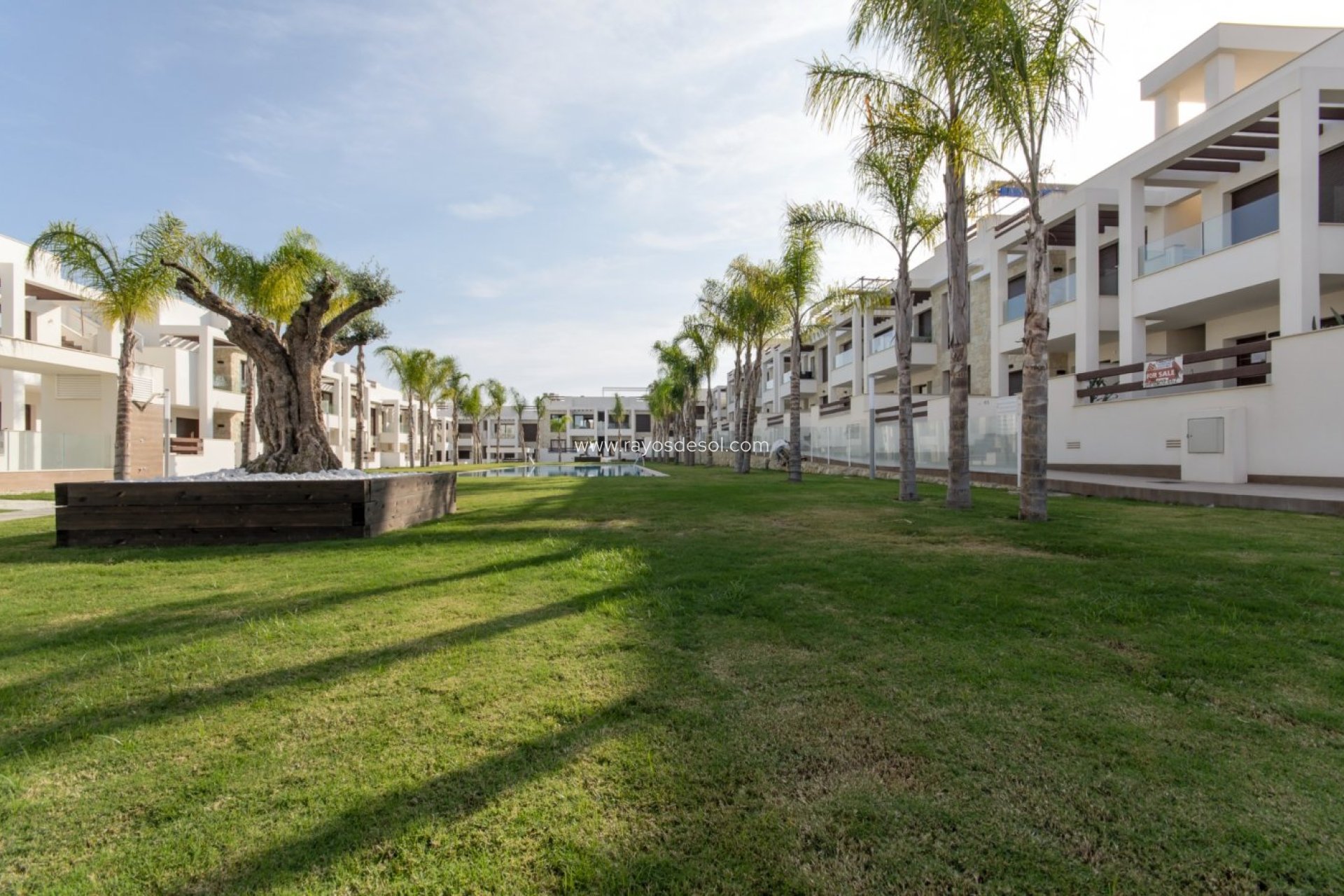 Neue Gebäude - Appartement - Torrevieja - Los Balcones