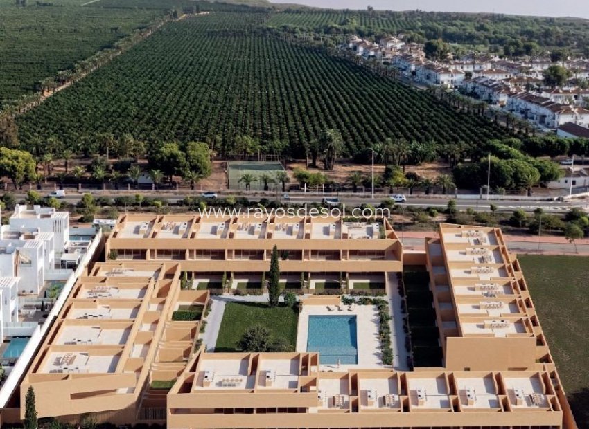 Neue Gebäude - Appartement - Torrevieja - Los Balcones