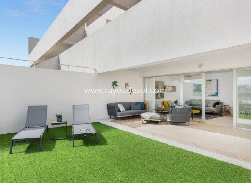 Neue Gebäude - Appartement - Torrevieja - Los Balcones