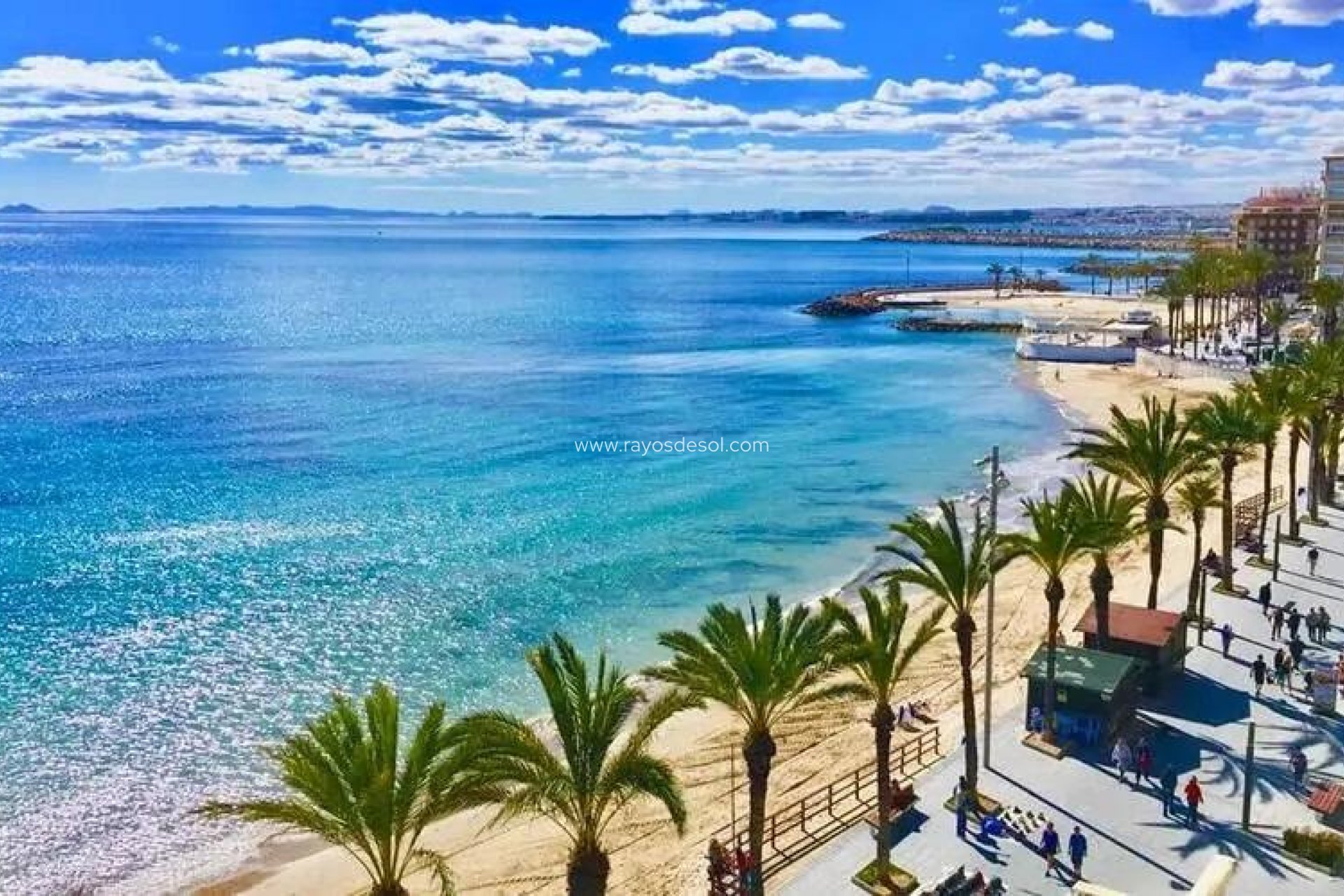 Neue Gebäude - Appartement - Torrevieja - Playa de los Locos