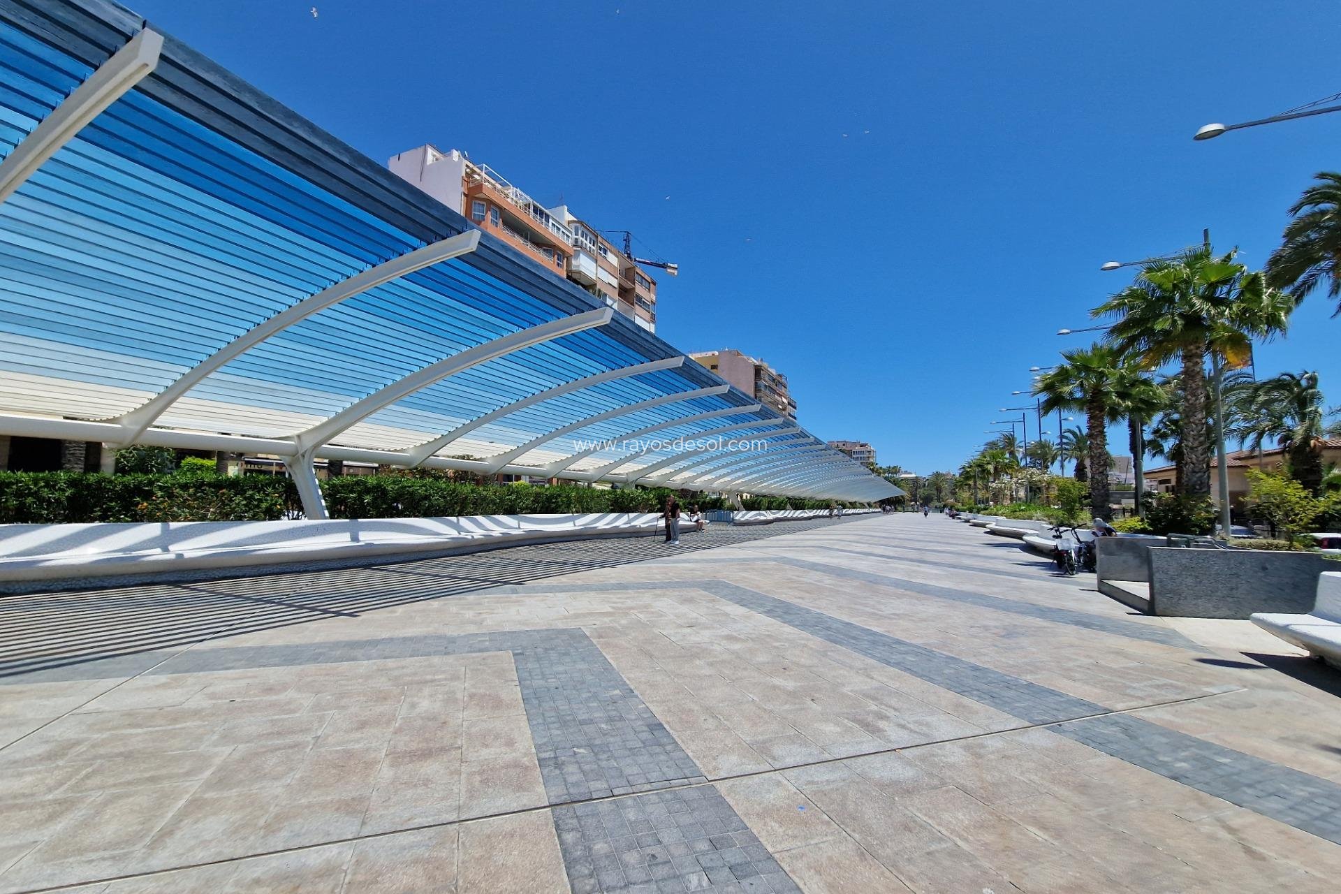 Neue Gebäude - Appartement - Torrevieja - Playa de los Locos