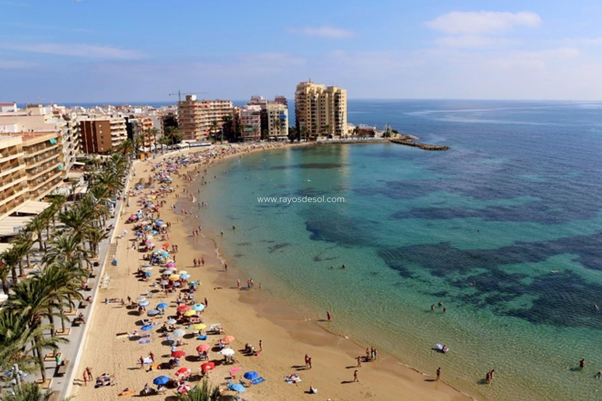 Neue Gebäude - Appartement - Torrevieja - Playa del Cura