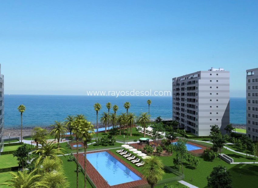 Neue Gebäude - Appartement - Torrevieja - Punta Prima