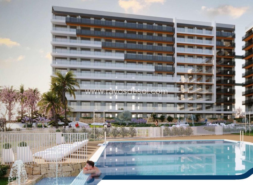 Neue Gebäude - Appartement - Torrevieja - Punta Prima