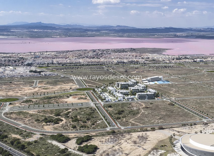 Neue Gebäude - Appartement - Torrevieja - Spain