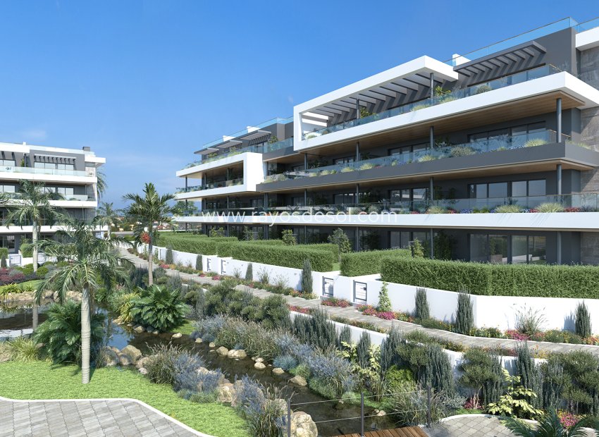 Neue Gebäude - Appartement - Torrevieja - Spain