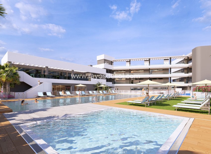 Neue Gebäude - Appartement - Torrevieja - Spain