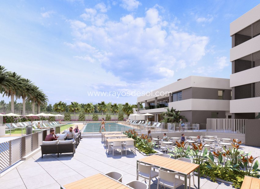 Neue Gebäude - Appartement - Torrevieja - Spain