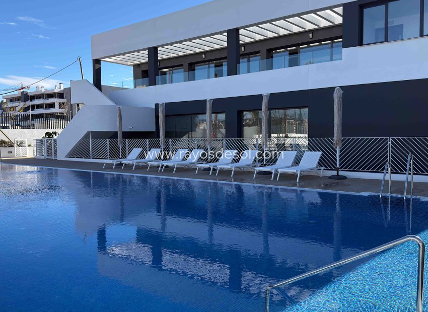 Neue Gebäude - Appartement - Torrevieja - Spain