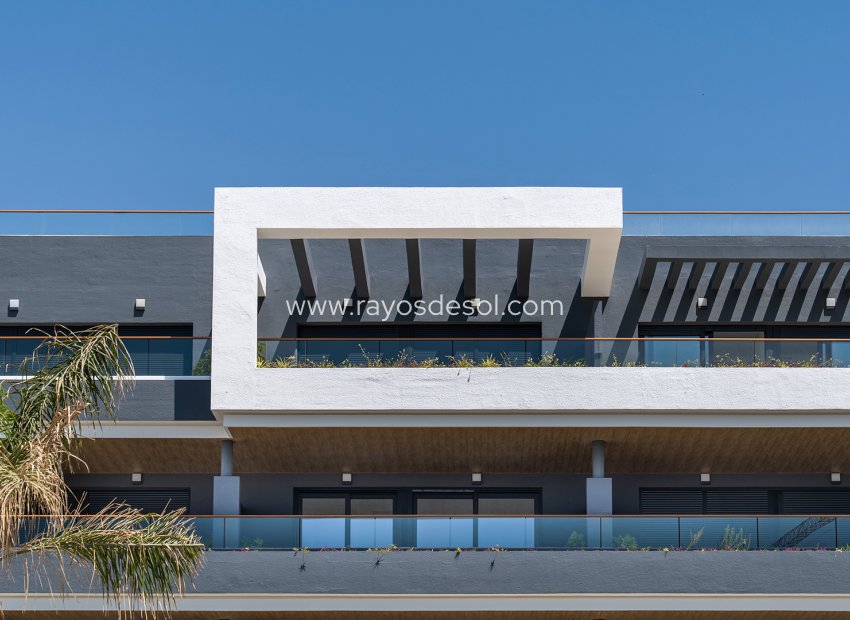 Neue Gebäude - Appartement - Torrevieja - Spain