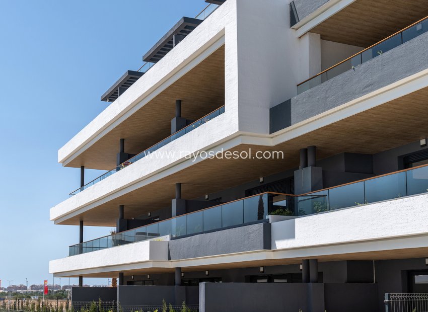 Neue Gebäude - Appartement - Torrevieja - Spain