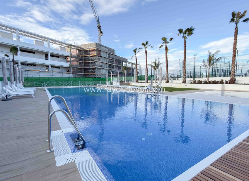 Neue Gebäude - Appartement - Torrevieja - Spain