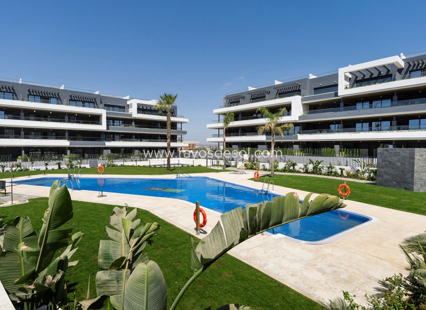 Neue Gebäude - Appartement - Torrevieja - Spain