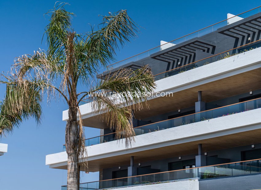 Neue Gebäude - Appartement - Torrevieja - Spain