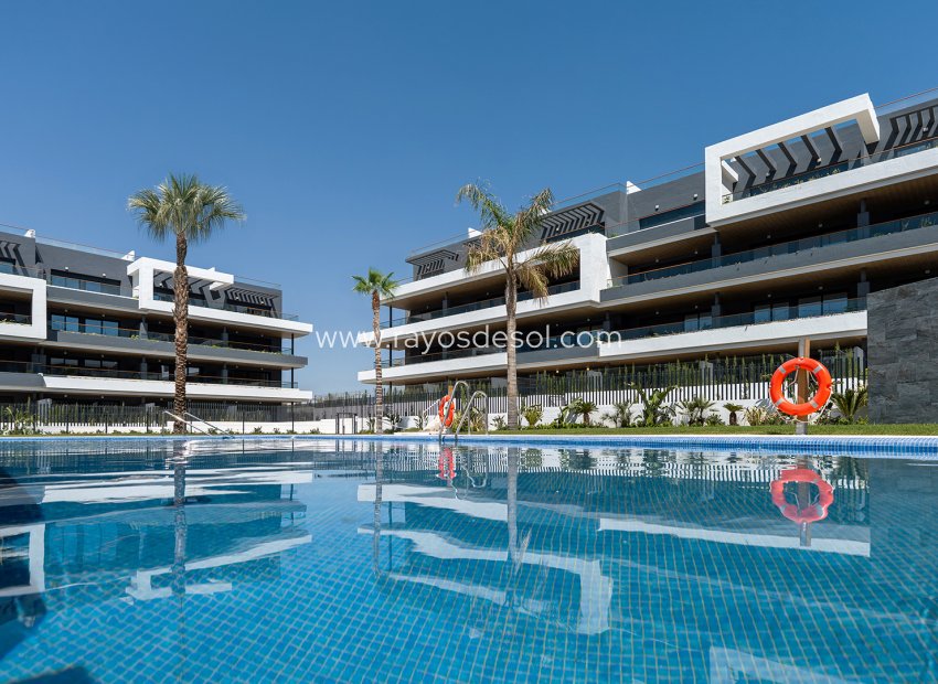 Neue Gebäude - Appartement - Torrevieja - Spain