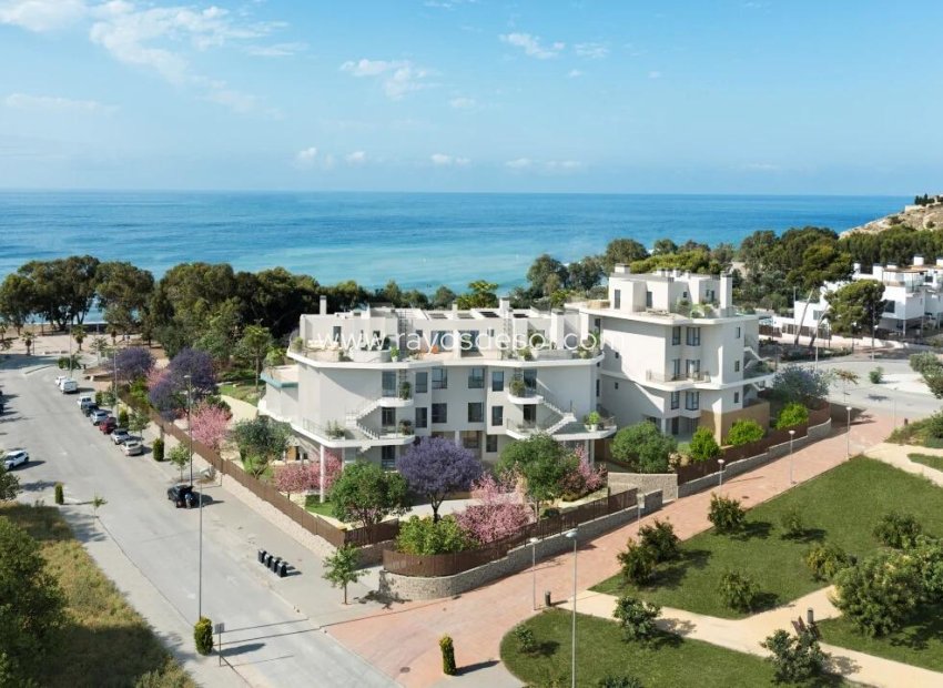 Neue Gebäude - Appartement - Villajoyosa - Playas Del Torres