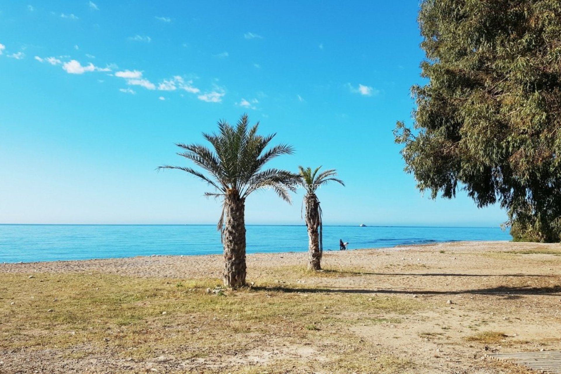 Neue Gebäude - Appartement - Villajoyosa - Playas Del Torres