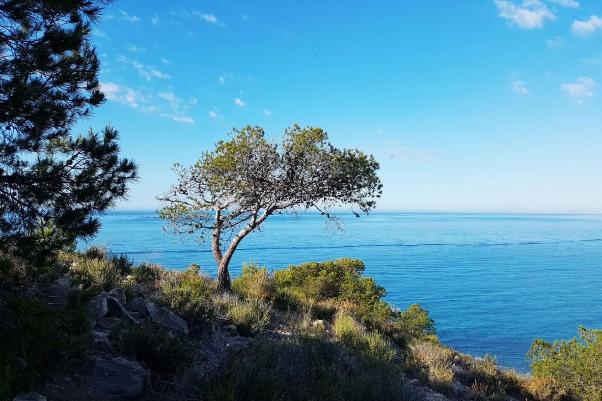 Neue Gebäude - Appartement - Villajoyosa - Playas Del Torres