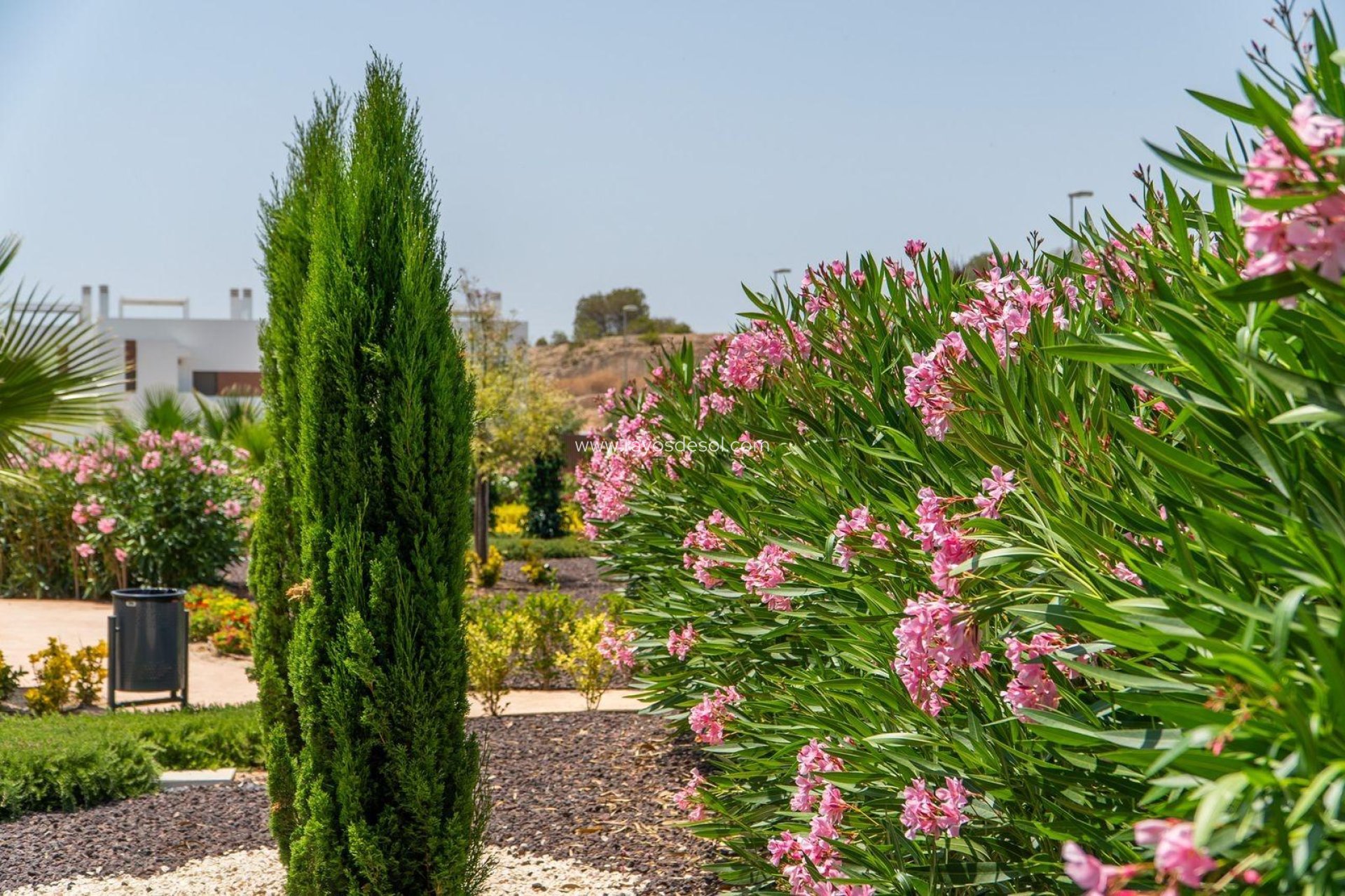 Neue Gebäude - Appartement - Vistabella Golf - VISTABELLA GOLF