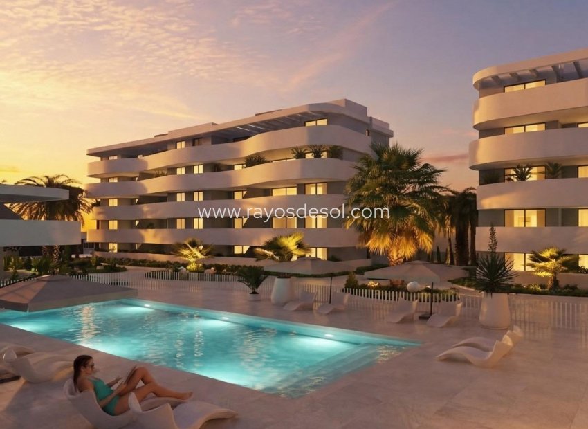 Neue Gebäude - Penthouse - Guardamar del Segura - El Raso