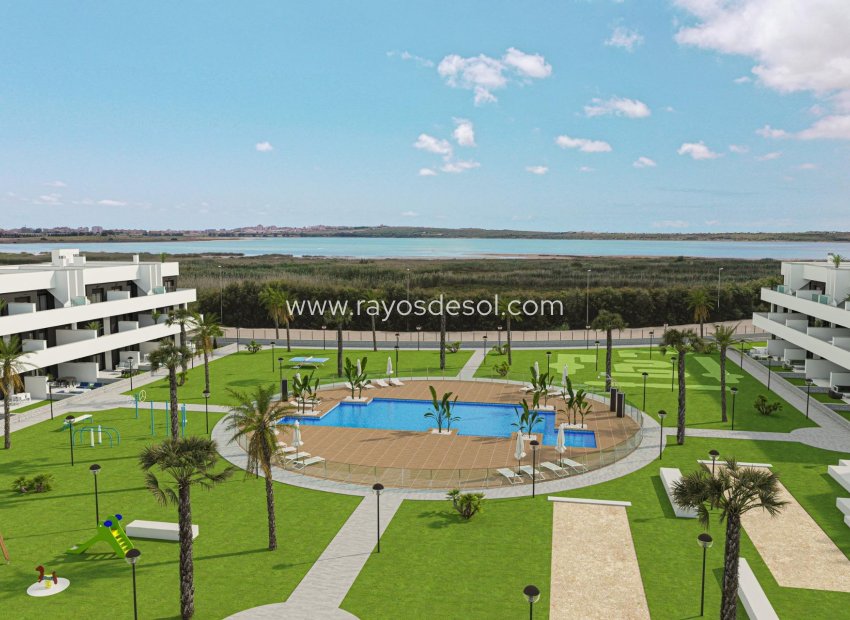 Neue Gebäude - Penthouse - Guardamar del Segura - El Raso