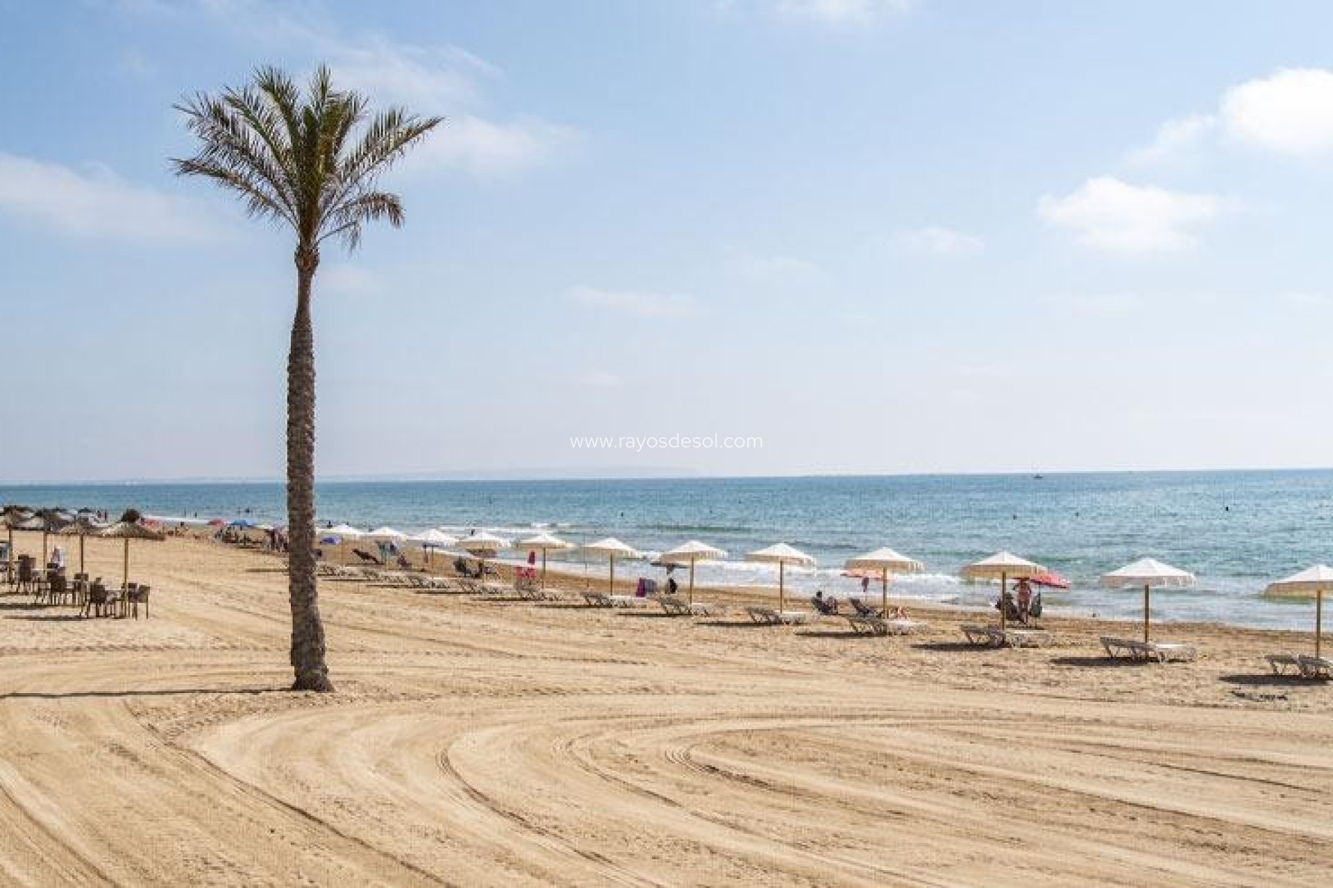 Neue Gebäude - Penthouse - Guardamar del Segura - Guardamar pueblo