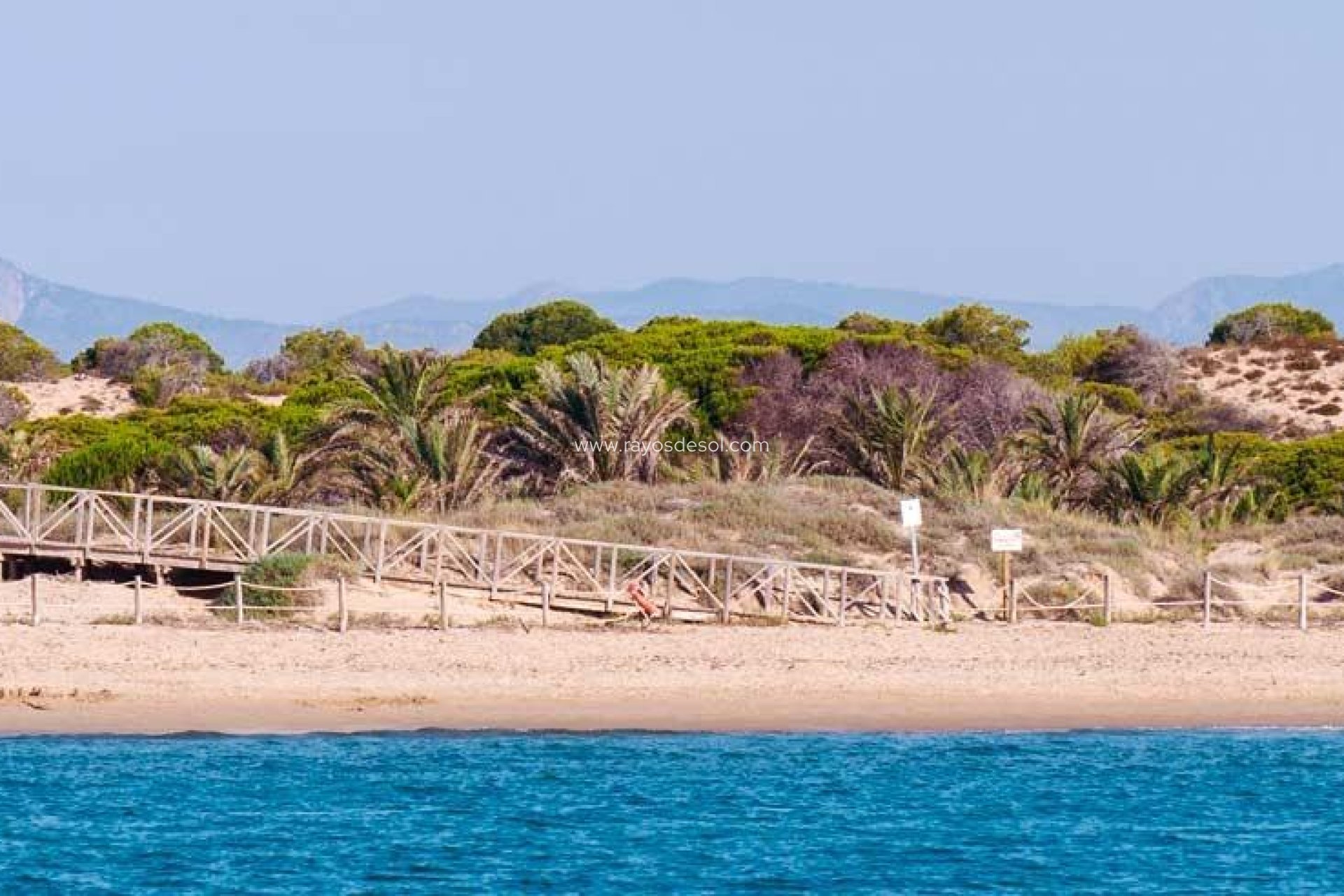 Neue Gebäude - Penthouse - Guardamar del Segura - Guardamar pueblo