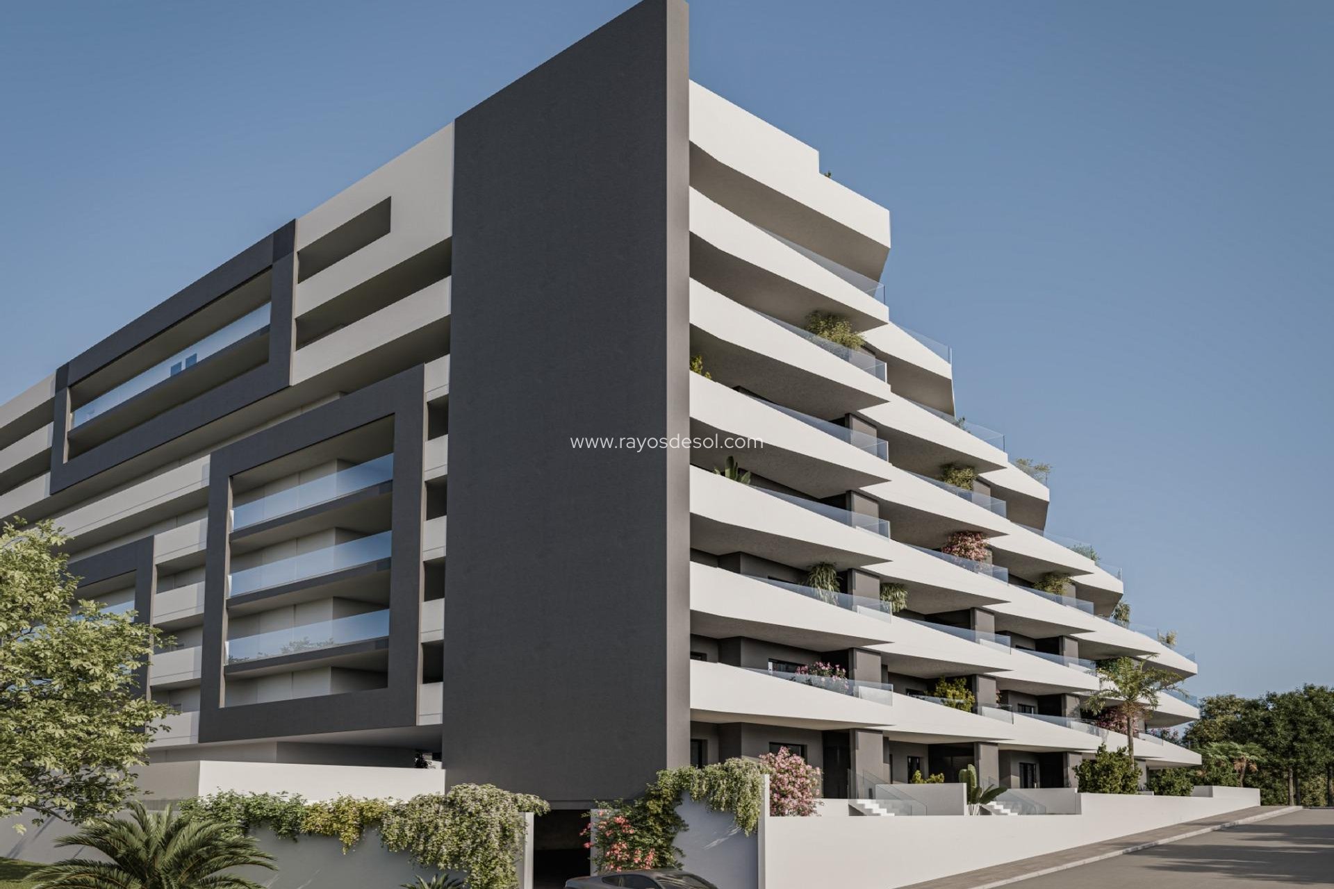 Neue Gebäude - Penthouse - San Miguel de Salinas - Pueblo
