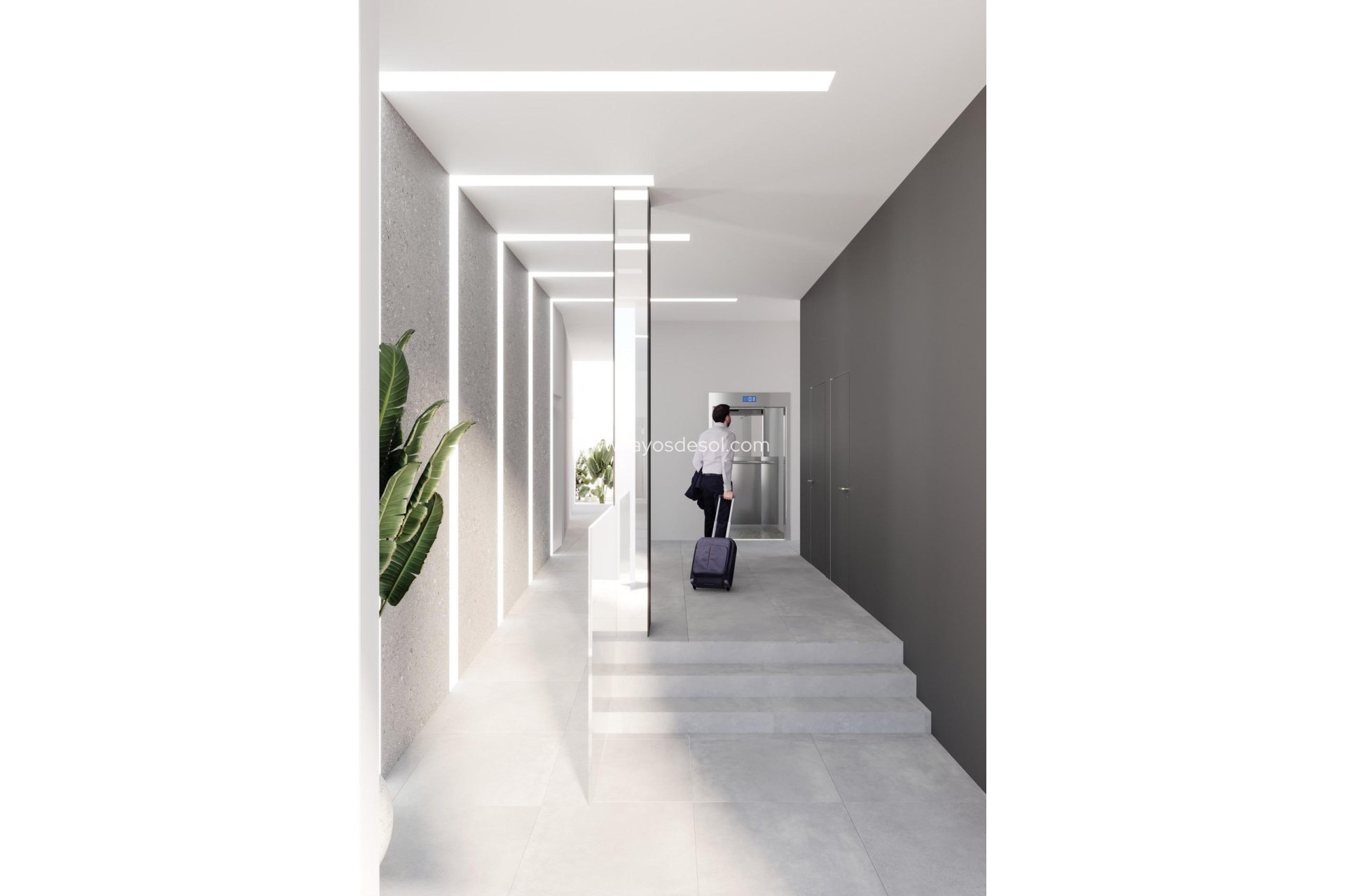 Neue Gebäude - Penthouse - Torrevieja - Centro